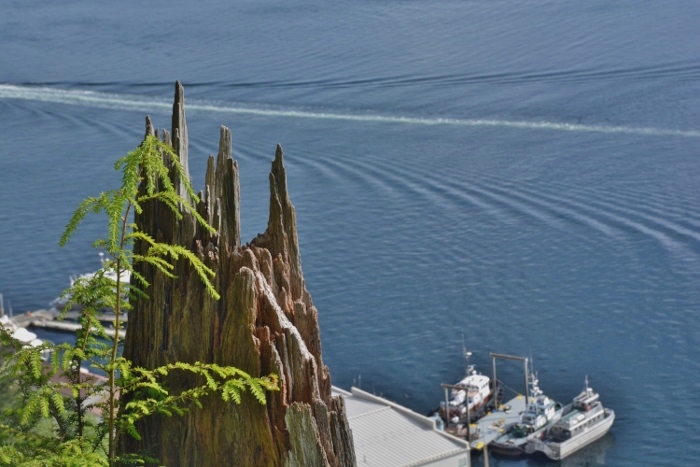 overlook of town and water